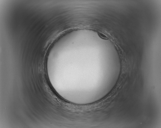 X0000062900002200601271725