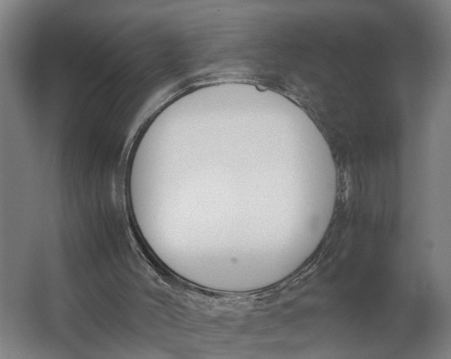 X0000062900004200601271725