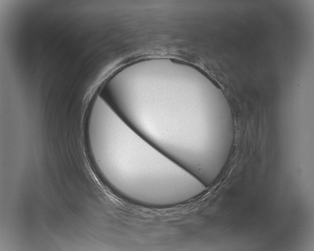 X0000062900005200601271725