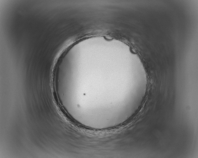 X0000062900006200601271725