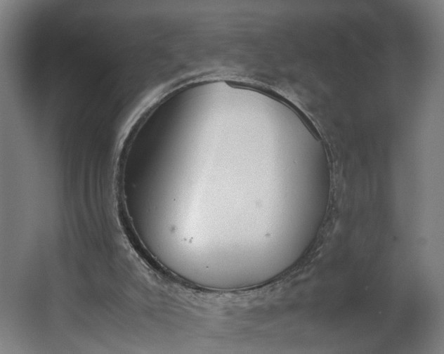 X0000062900007200601271725