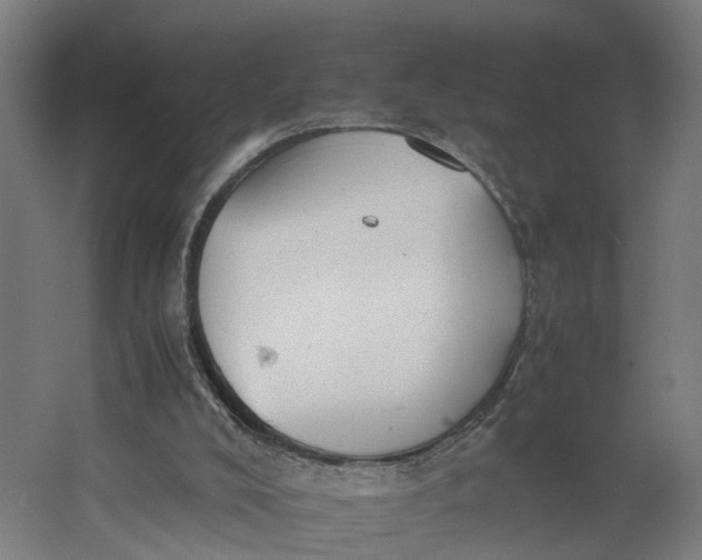 X0000062900008200601271725