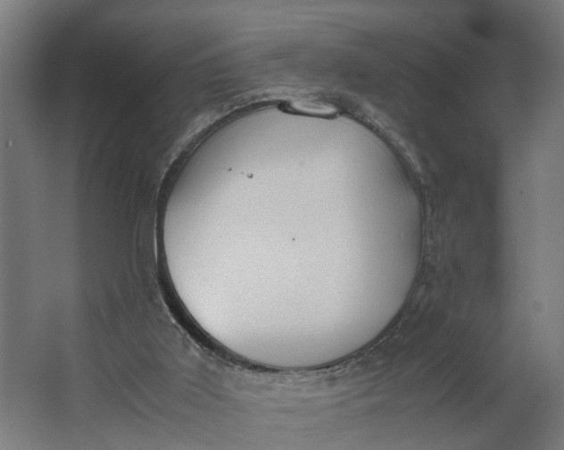 X0000062900011200601271725