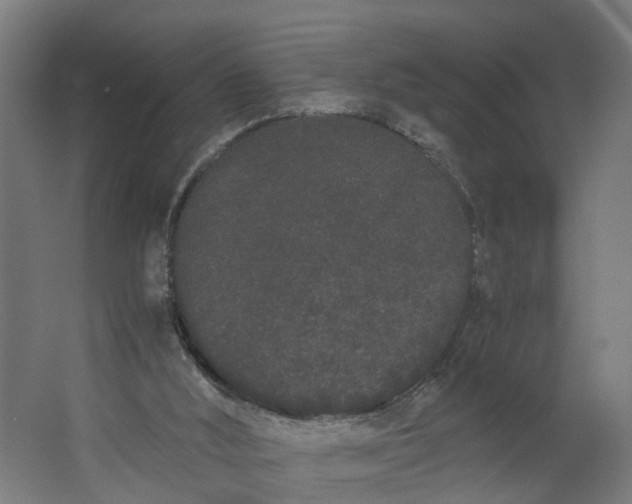 X0000062900012200601271725