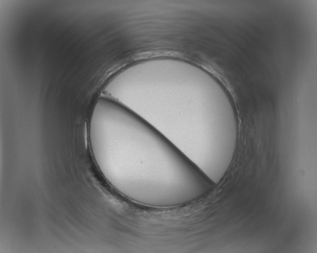 X0000062900013200601271725