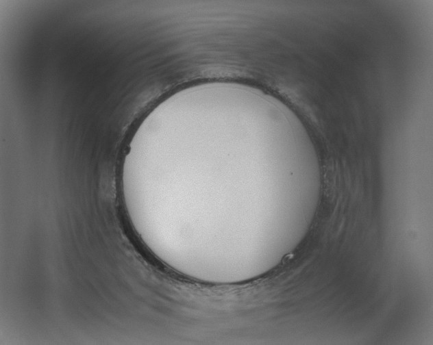 X0000062900015200601271725