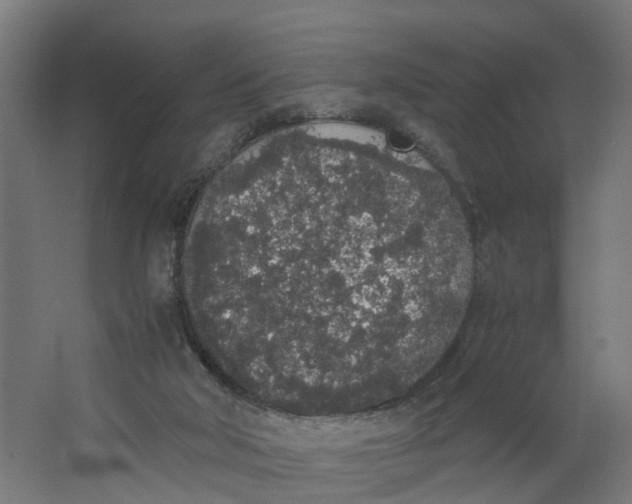 X0000062900018200601271725