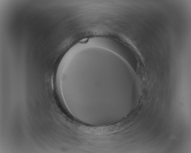 X0000062900019200601271725