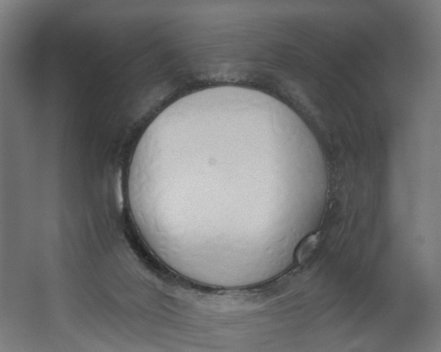 X0000062900020200601271725