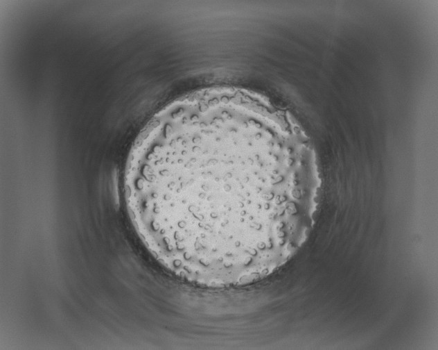 X0000062900022200601271725