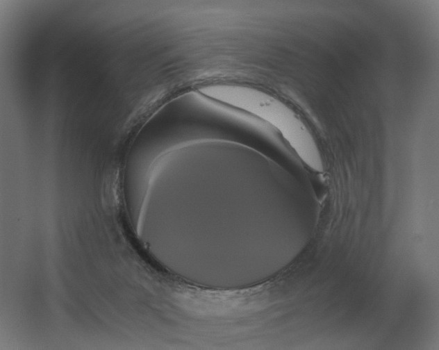 X0000062900023200601271725