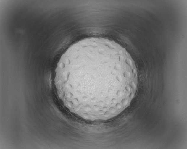 X0000062900024200601271725