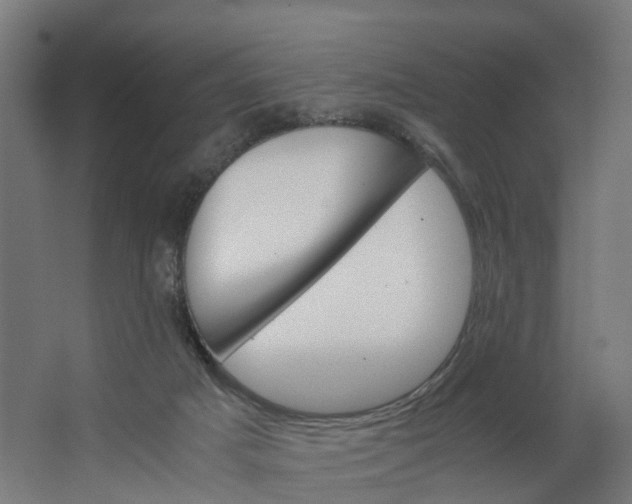 X0000062900025200601271725