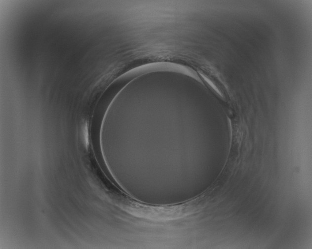 X0000062900027200601271725