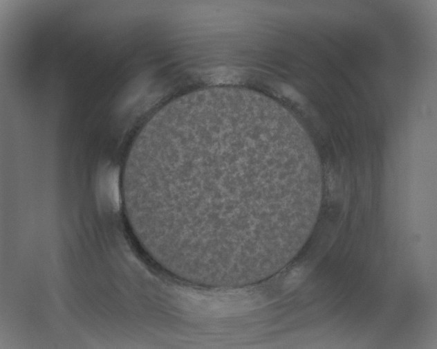 X0000062900028200601271725