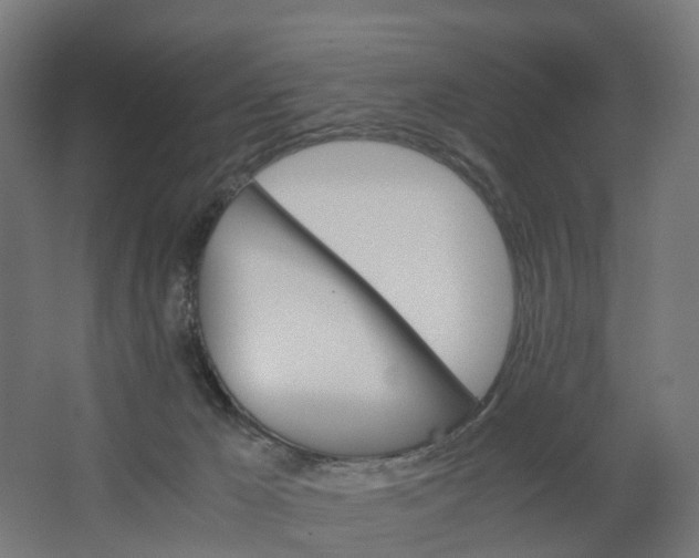 X0000062900029200601271725