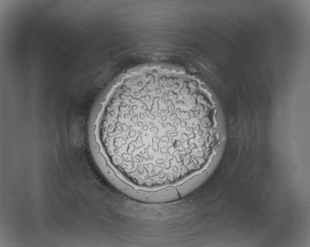 X0000062900030200601271725