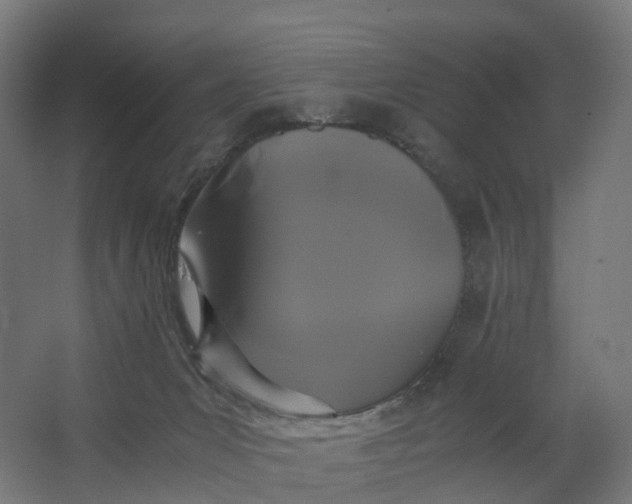 X0000062900031200601271725