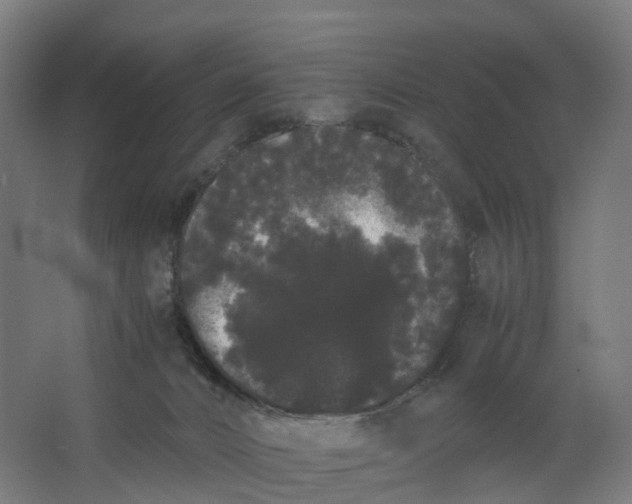 X0000062900032200601271725