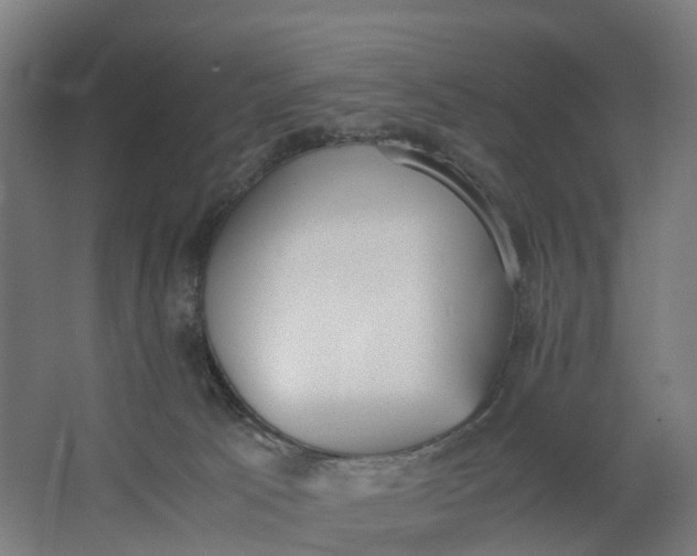 X0000062900033200601271725