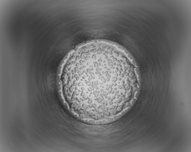 X0000062900034200601271725