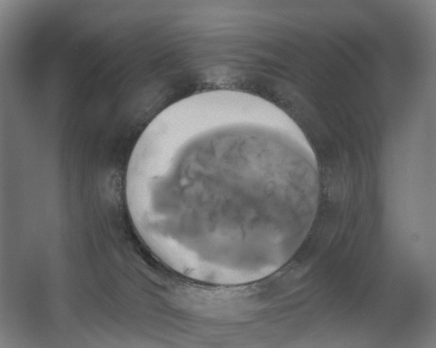 X0000062900036200601271725