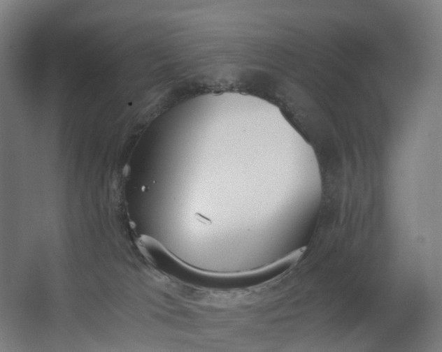 X0000062900037200601271725