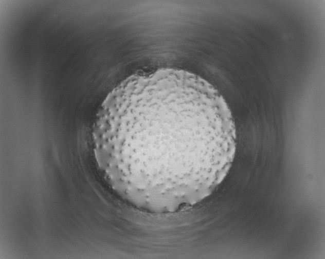 X0000062900038200601271725