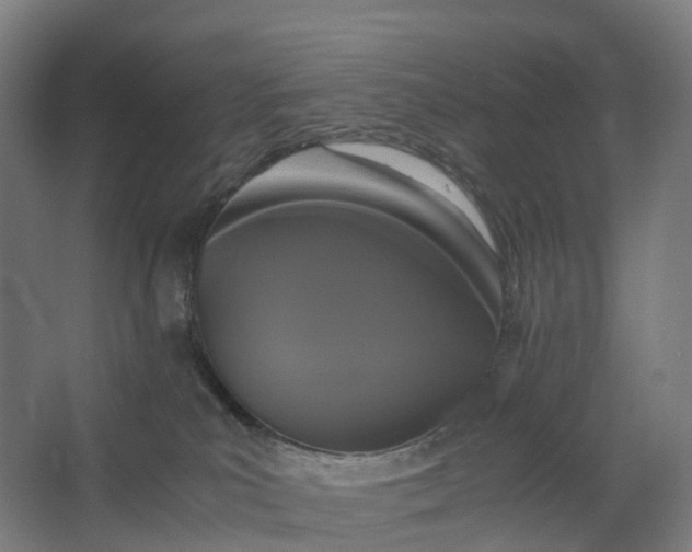 X0000062900039200601271725