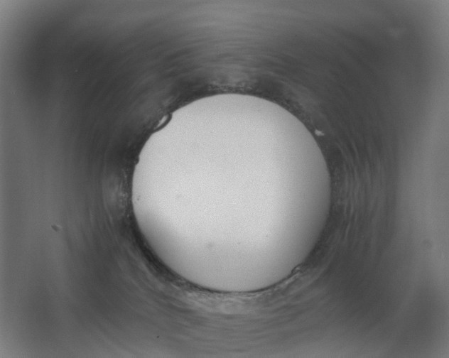 X0000062900040200601271725