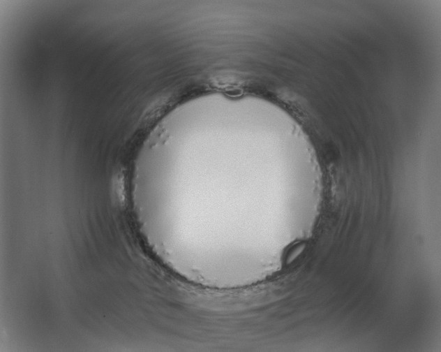 X0000062900042200601271725