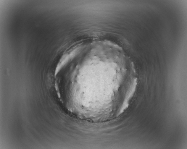 X0000062900043200601271725