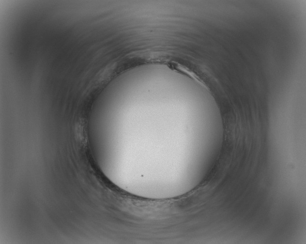 X0000062900044200601271725