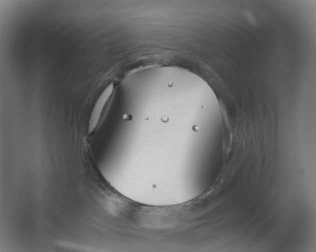 X0000062900045200601271725