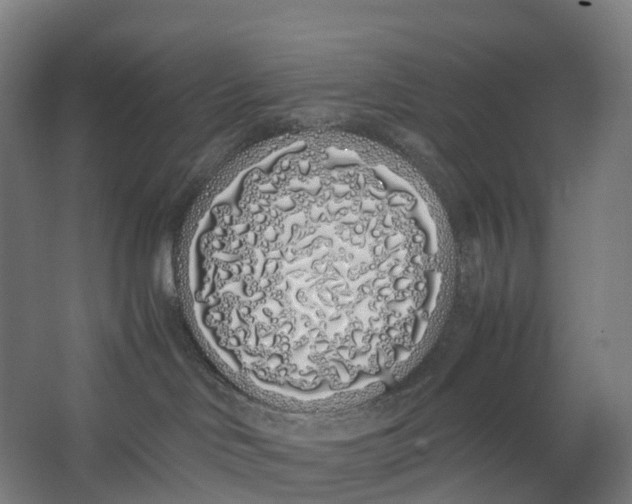 X0000062900046200601271725