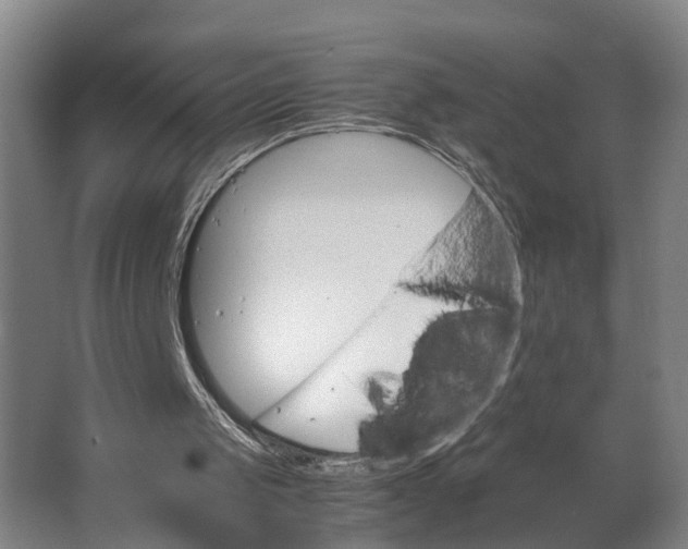 X0000062900049200601271724