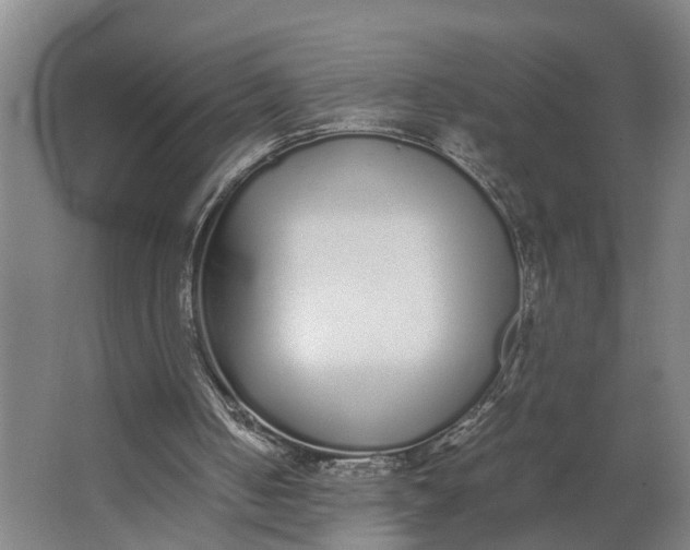 X0000062900050200601271724