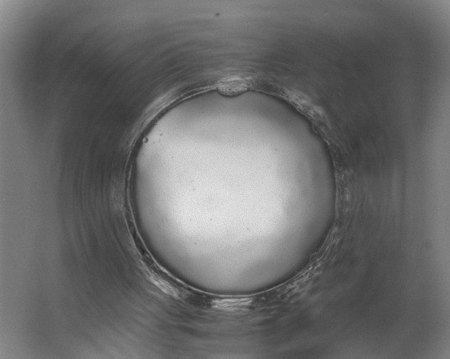 X0000062900051200601271724