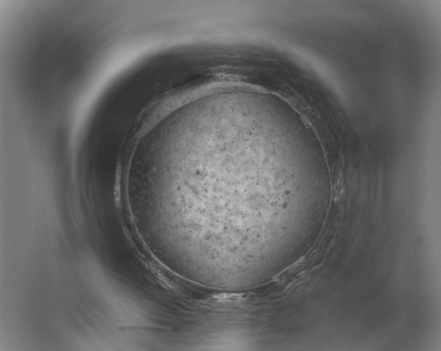 X0000062900052200601271724