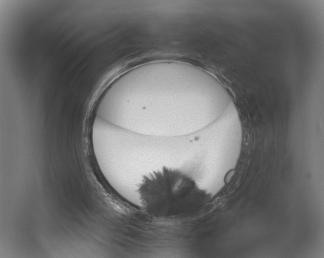 X0000062900053200601271724