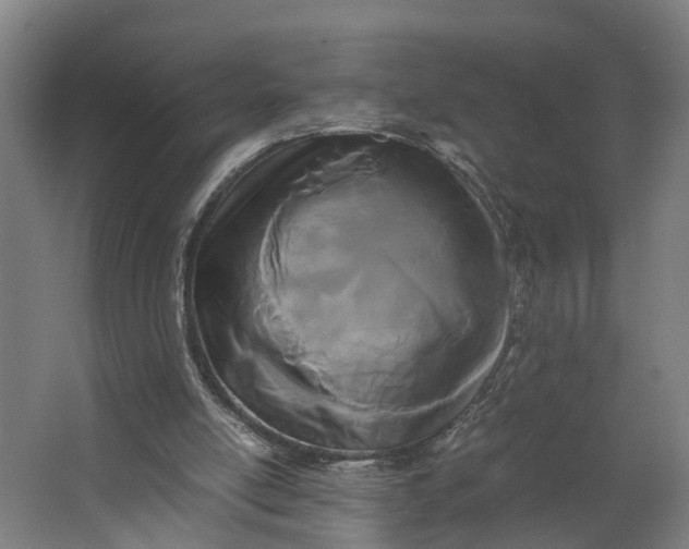 X0000062900054200601271724