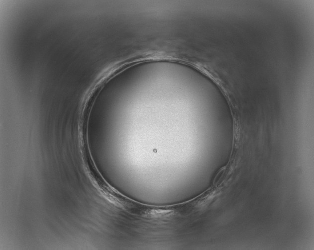 X0000062900055200601271724