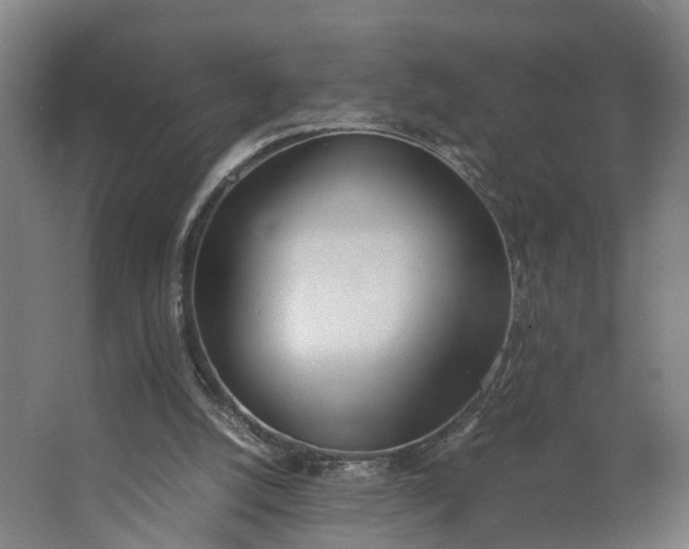 X0000062900056200601271724