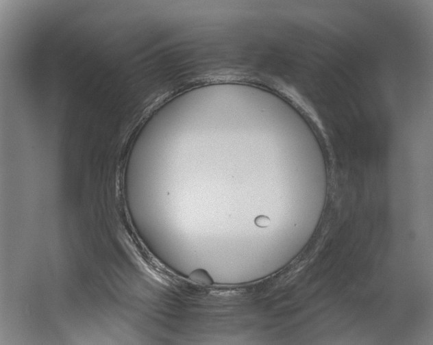 X0000062900057200601271724