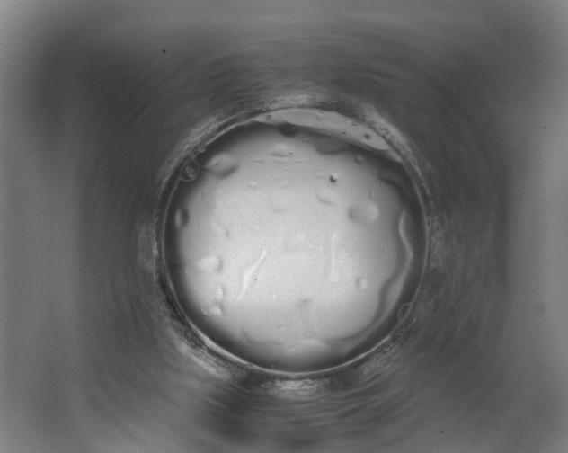 X0000062900059200601271724