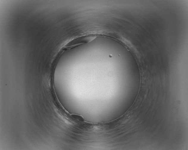 X0000062900060200601271724