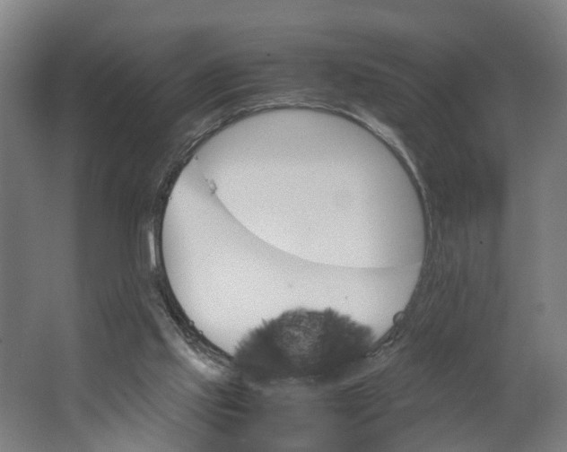 X0000062900061200601271724