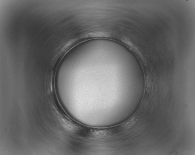 X0000062900062200601271724