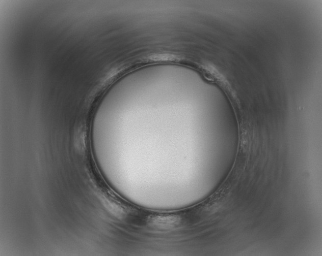 X0000062900063200601271724