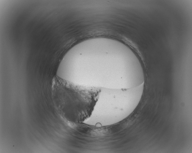 X0000062900065200601271724